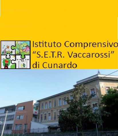 CLIL (Content Language Integrated Learning) Video Conference with  Cunardo School  in Italy